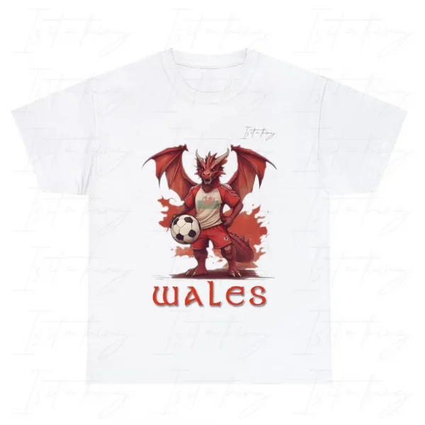 Wales Football (T-Shirt)