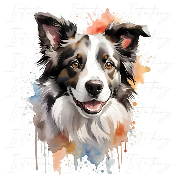 'Border Collie' (Wall Art)